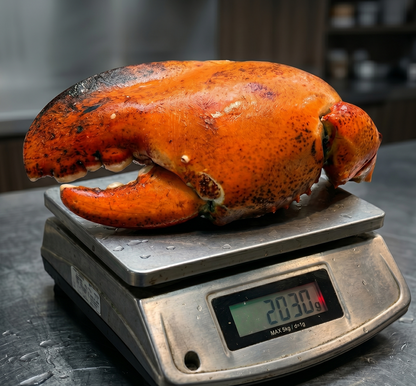 Giant kg-Grade Lobster Claw | Super Thick & Juicy | Premium Seafood